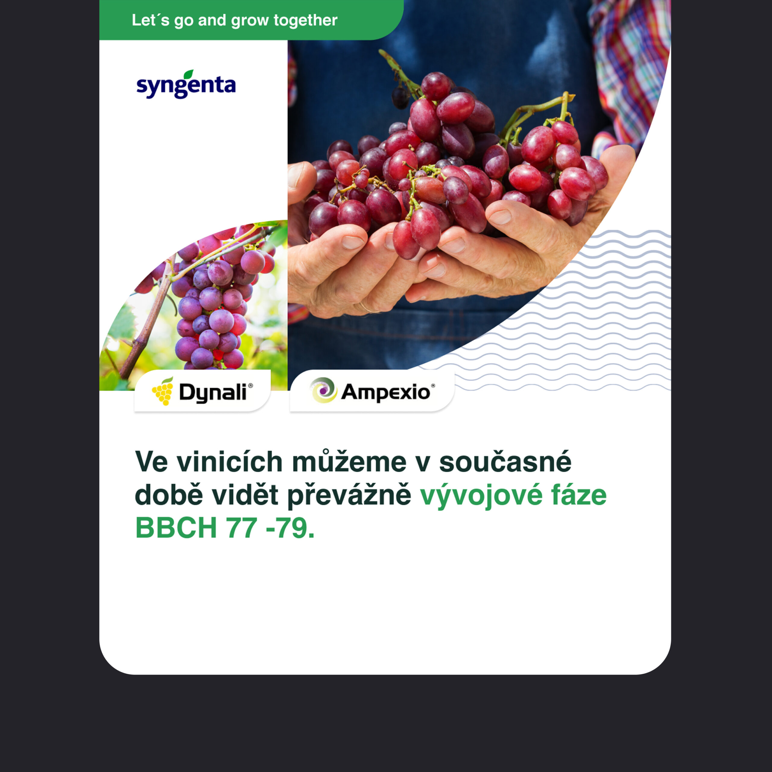 syngenta-Social-media-marketing
